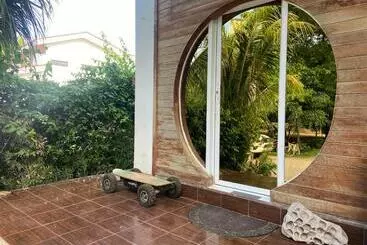 ユースホステル Iguana Budged Room Stop N Go Surf