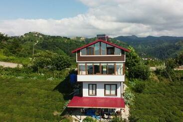 アパートホテル Bulepe Suit Apart