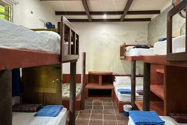 هاستل Out Back Zapote