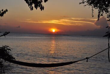 Жильё для туристов Angel Fish Cove