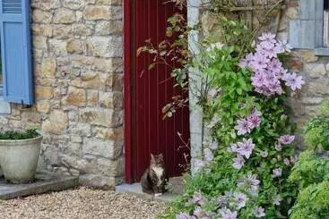 ベッドアンドブレックファースト Habitat