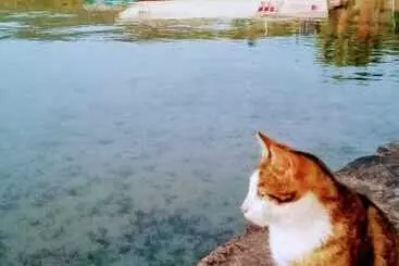 Antique İasos Butik Otel