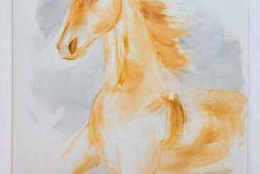 Отель Vila Luca