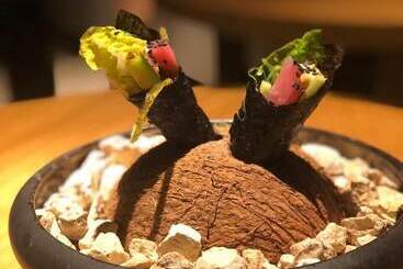 Hotel Aventura Studios Pool And Beach Club