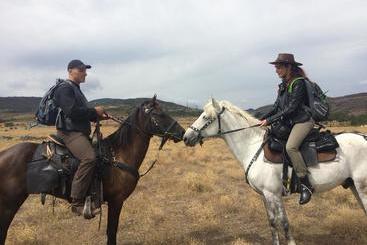 호스텔 Alex's Cosy Guesthouse