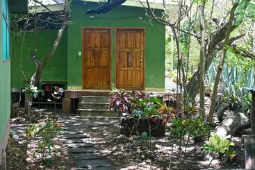 هاستل Dale S Cool Places