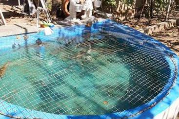 تختخواب و صبحانه Guest House Khatuna