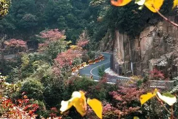 ホテル Blossom Garden Resort