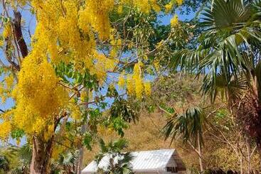 Pension Animal Paradise