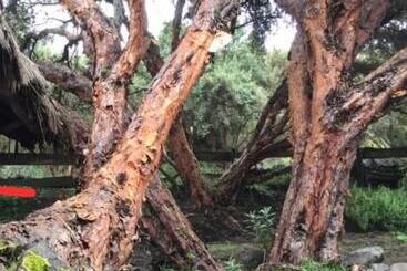 Pensjonat El Andarin Home Stay