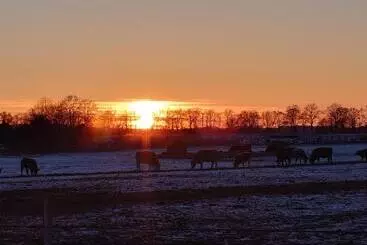 ホテル Schützenhaus Lenzen