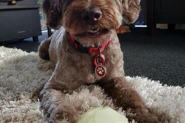 住宿加早餐 Papamoa Retreat