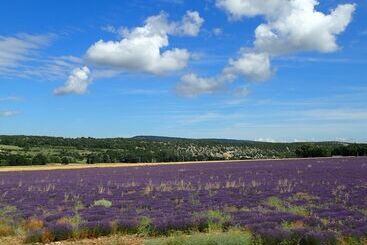 فندق فئة نجمة واحدة Gîte De L Aspa