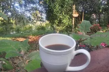ペンション Hospedaje Finca El Mono