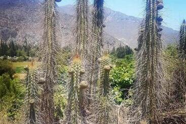 Bed and Breakfast Hostal Tatul