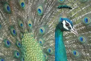 Hotelli Wild Animal Viewpoint Udawalwe