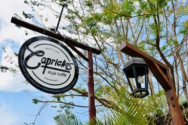 פנסיון Caprichos Rooms