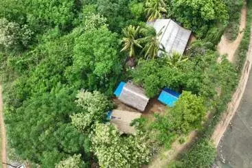 Hotelli Wild Safari Clay House