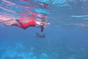 פנסיון David Homestay Raja Ampat