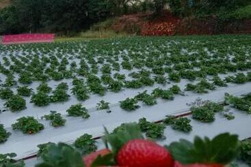 Natures Living Agro Tourism