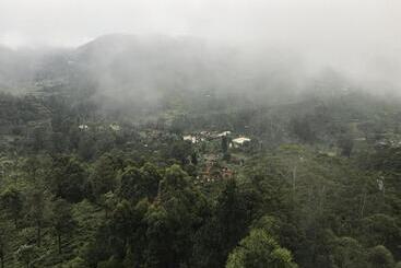 Pensjonat Saffron Hill