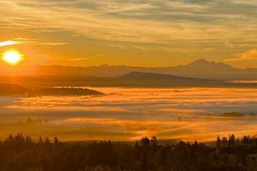 Panzió Derbyshire House