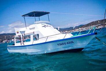 Szálló Hostería Albura