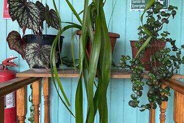 Bed and Breakfast Hostería Ensenada