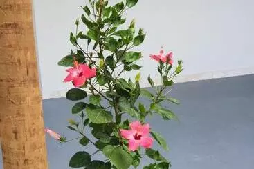 Hostel Pousada Canto Da Barra