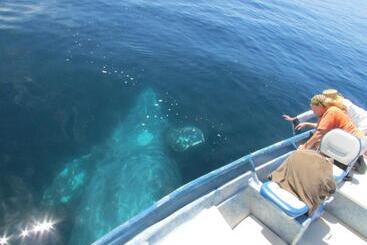 בית מלון כפרי Isabela, Mag Bay