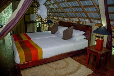 ホテル Ella Jungle Resort