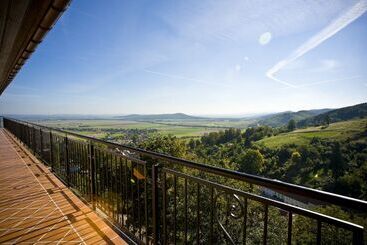 בית מלון כפרי Srebrna Góra