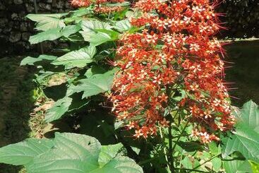 膳宿费 Native Village Inn