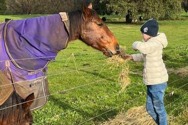 Jilly Park Farmstay Experience Discover Authentic Farm Life Complimentary Breakfast Included