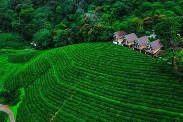 Hotel Zero Degree Jungle Resort