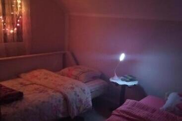 Pensiune Apartman Vojin