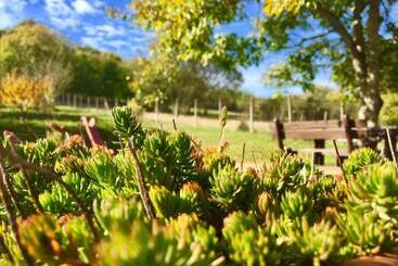 ペンション Levendula Porta és Pajtaszínház