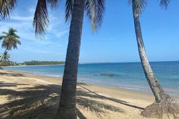 هتل The Palm Bay Club Lodge