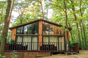 호텔 Bizon Village