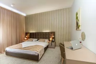 Hotel Royal Airport