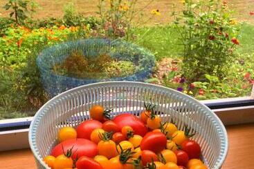 Obihiro Yachiyo Youth Hostel