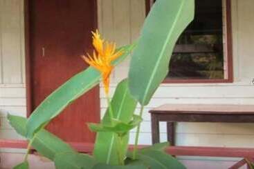 Отель Jinda Resort