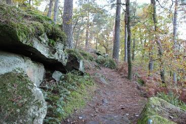 住宿加早餐  L Alisier Chantant