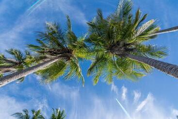 Hotel Manuel Antonio