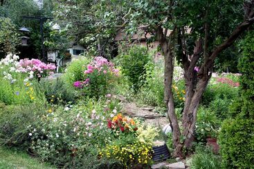 酒店 Burleys Gardens And Suite