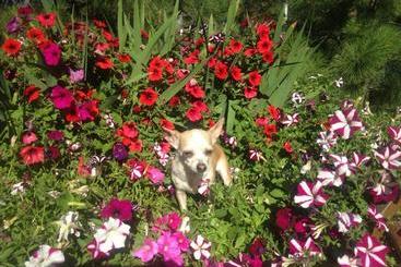 Hotel Eagle S Nest B&b