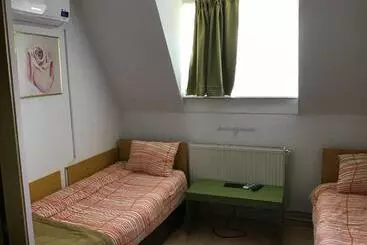 Hotel Villa Siret