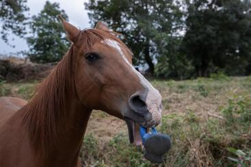 צימר Chambres D Hôtes La Maison Blanche