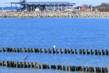 Restaurant & Hotel Baumhaus Hagen