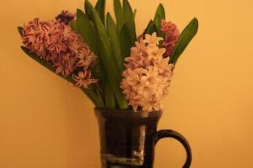 צימר Moon In The Apple Tree